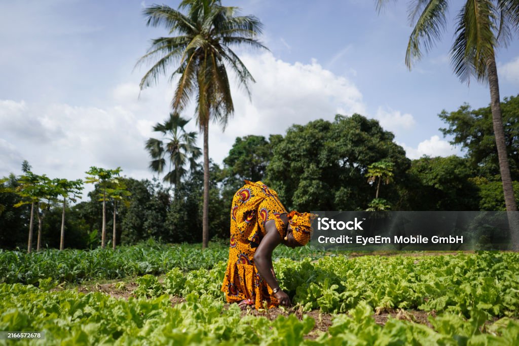 Photo taken in Bamako, Mali