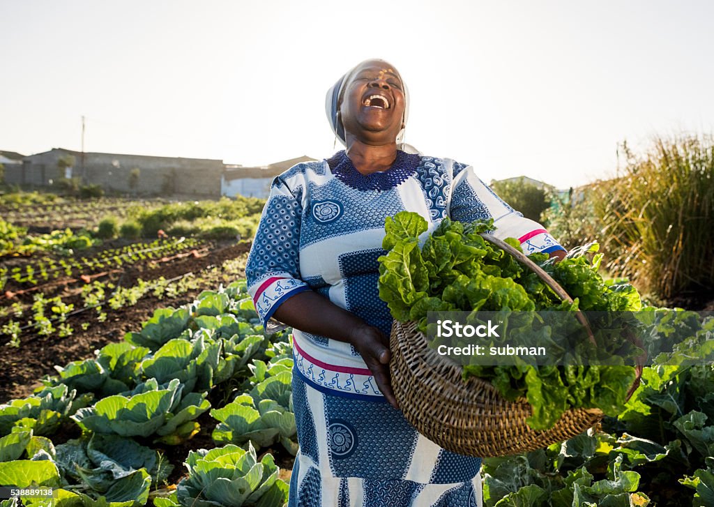 Adult African Female wearing Traditional clothes and face paint holds back her head and laughs , holding a basket filled with vegetables, spinach, she has harvested.